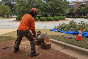 Professional tree removal company safely executing a hazardous tree removal service near the BMW Performance Center in Greer, South Carolina.