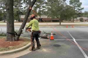 Professional tree removal service performing an emergency tree removal near the BMW Zentrum in Greer, South Carolina.