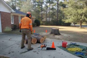 Professional tree removal service clearing storm damage and removing a fallen tree near Tiny Town in Easley, South Carolina.