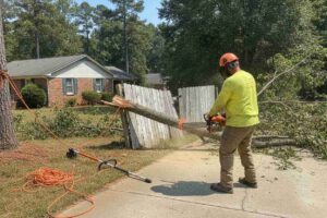Professional tree removal service safely cutting down and removing a dead tree near the Ultimate Driving Museum in Greer, South Carolina.
